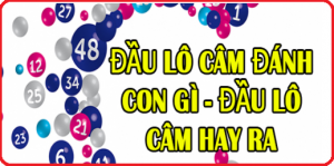 Hướng dẫn c&aacute;ch đ&aacute;nh l&ocirc; theo đầu c&acirc;m chuẩn x&aacute;c nhất