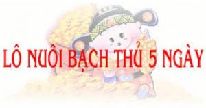 Nu&ocirc;i l&ocirc; khung 5 ng&agrave;y